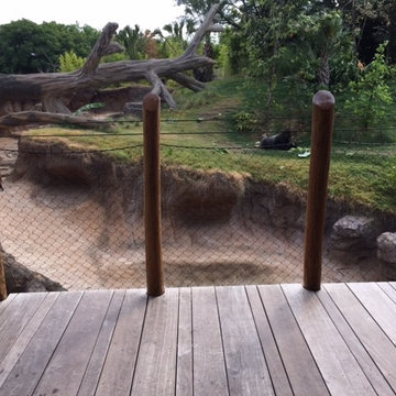 Houston TX Zoo- Ipe