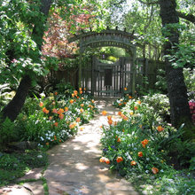 New Upper Shade garden