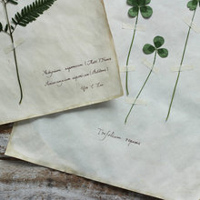 botanical