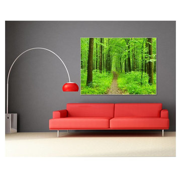 THE BIOPHILIC EFFECT