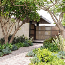 Miscellaneous Gardens