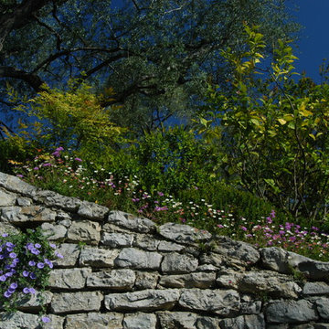 Provençal Garden