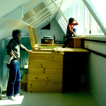 House to Celebrate the Sun