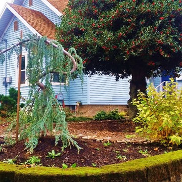 Woodstock Craftsman Cottage Rain Garden
