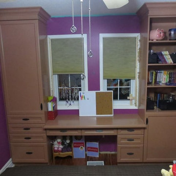 Student Desk / Bedroom Wall Unit