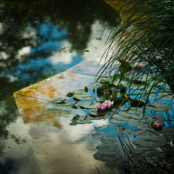 Gardens for Inspiration