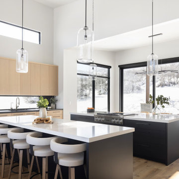 Modern Kitchen Remodel - Austin, TX