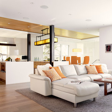 Ekornes/Stressless