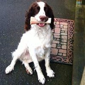 Heidi Brogan-Jackson's photo