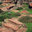 Chris Hecht Design & Landscape Construction, Inc.