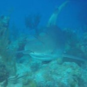 Darren Bernard's photo