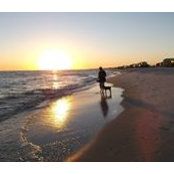 Carol Ebert-Stoughton's photo