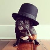 Chris Meulen's photo