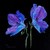Leah Perez's photo