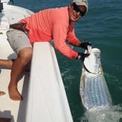 Bill Hammond's photo