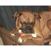 Shayler Coultes's photo