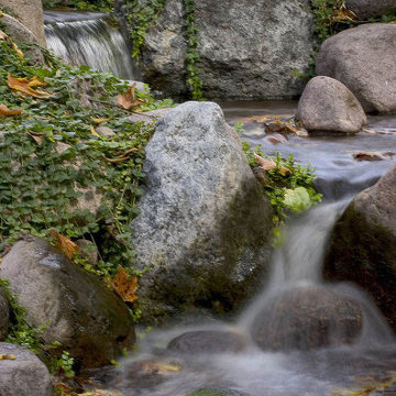 Backyard Water Features in Fall (Long Island/NY):