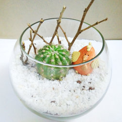 Petite Gardens: Desert Companions - Products