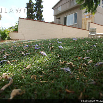 SYNLawn | Close-up Shots