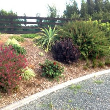 gardens & banks