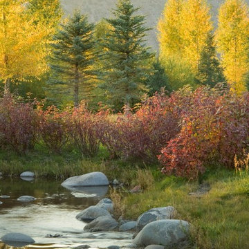 Transformative Water