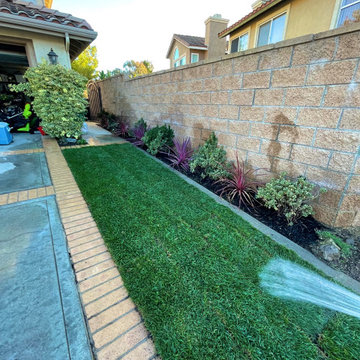 Lawn and Sod Projects
