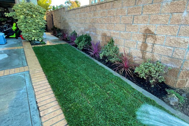Lawn and Sod Projects