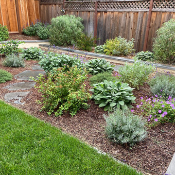 Sunnyvale Low Water & Dog Safe Garden