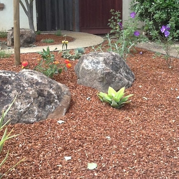 New Front Yard