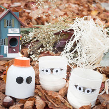 Holiday Decor & Ideas