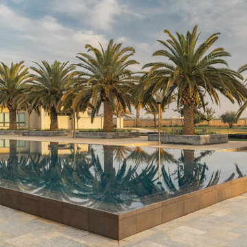 Mid-East Modern