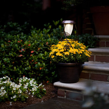 Solar-Powered Outdoor Lighting
