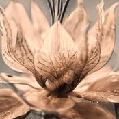 Nicole Pellerin's photo