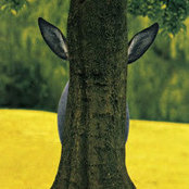 Foto von plantglory