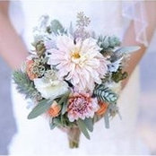 Tiffany Cannon's photo