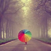 Wendy DeVoy's photo