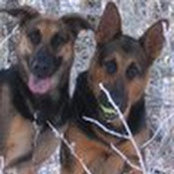 Samantha p's photo