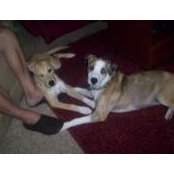 Sharon Evans's photo