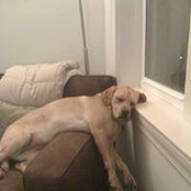 Jeffrey Seger's photo