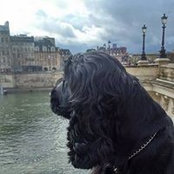 Foto von Kerri de Comarmond