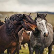 Liz Brown's photo