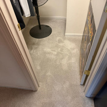 Residential Carpet Installation