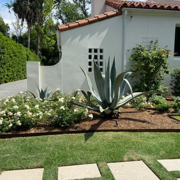 California Vineyard vibe
