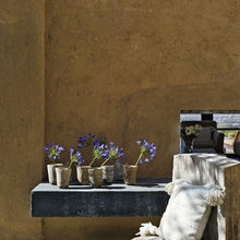 Landscape Ideas