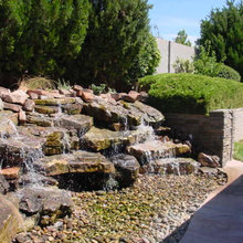 Back yard ideas