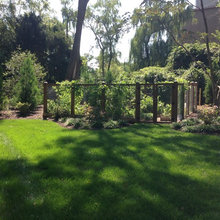 veggie garden