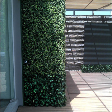 Ranka Lasting Greenery
