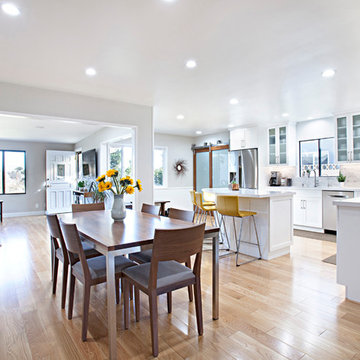 Contemporary Kitchen Remodel