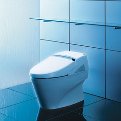 Toto Neorest 600 Toilet With ADA Riser 1.6 GPF MS990CLGR - Toilets