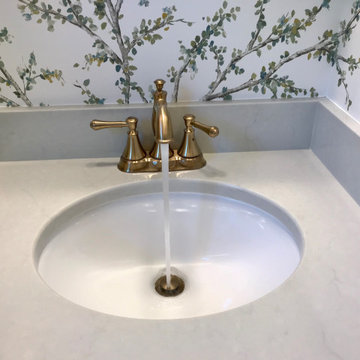 Ann Arbor Kitchen Remodel: Burns Park